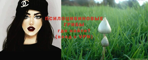 spice Богданович