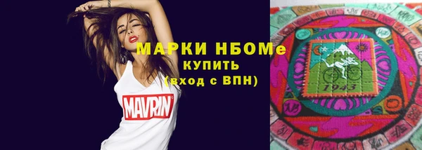 spice Богданович